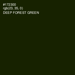 #172300 - Deep Forest Green Color Image